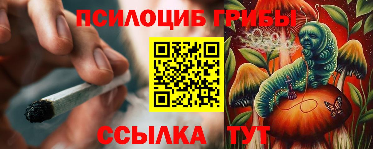 Галлюциногенные грибы Cubensis Миасс
